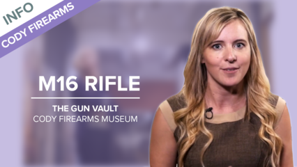 M16 Rifle | The Gun Vault - Cody Firearms