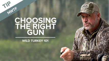 Choosing the Right Gun - NWTF Turkey Hunting Tips