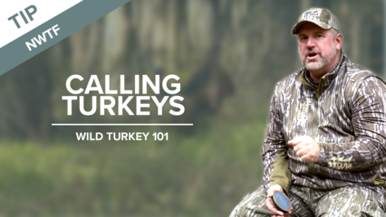 Calling Turkeys - NWTF Turkey Hunting Tips