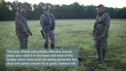 Taking The Shot - Turkey Hunting 101