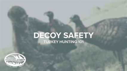 Decoy Safety - Turkey Hunting 101