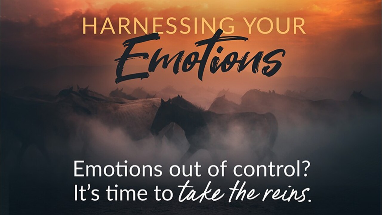 Harnessing Your Emotions: Episode 2