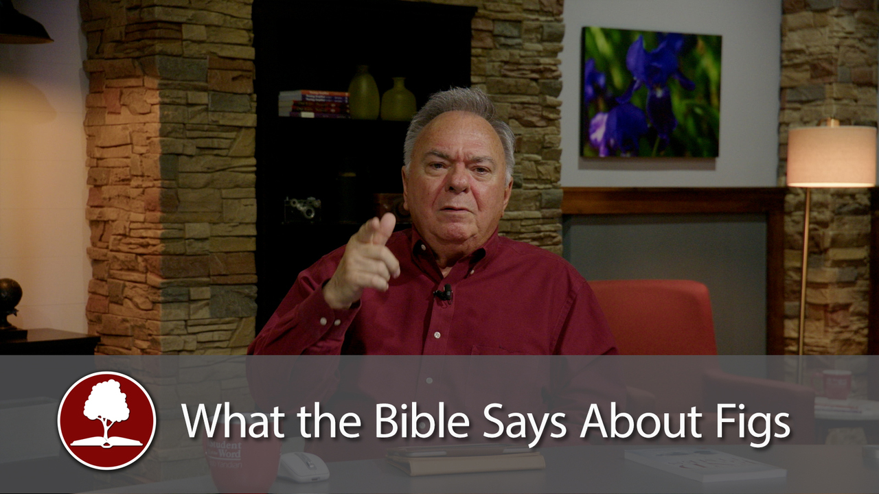 What the Bible Says About Figs