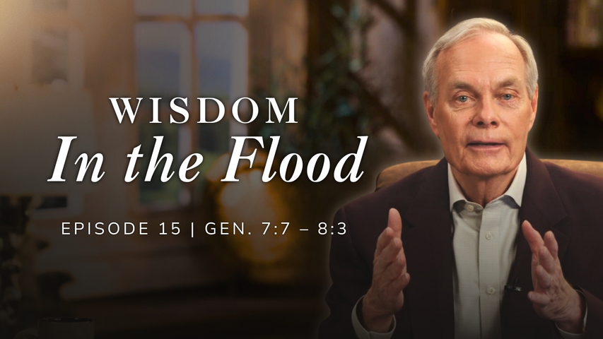 Wisdom in the Flood | Genesis 7:7-8:3 Episode 15