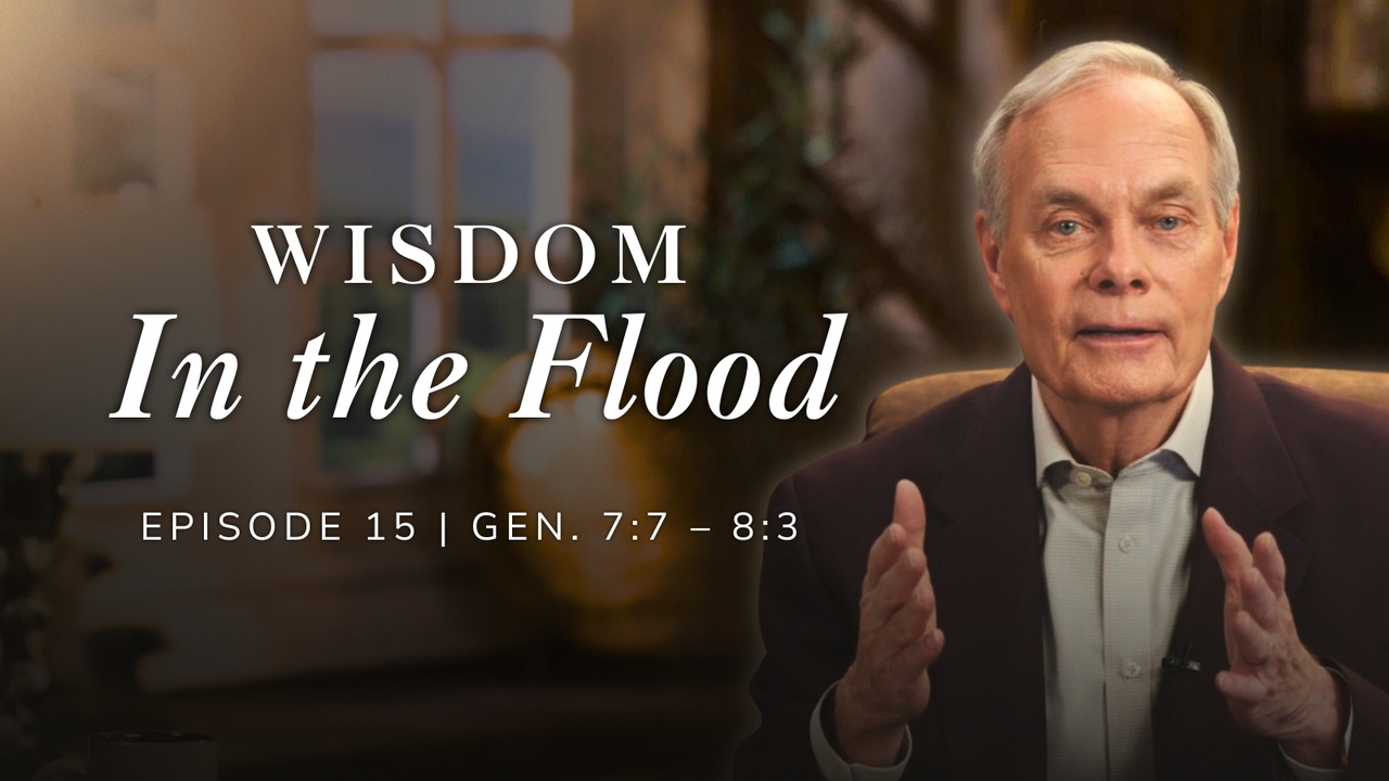 Wisdom in the Flood | Genesis 7:7-8:3 Episode 15