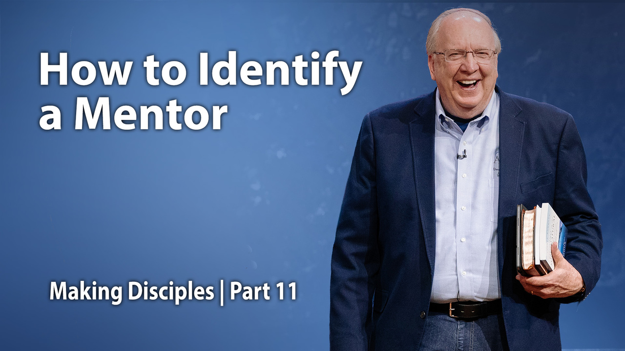 How to Identify a Mentor