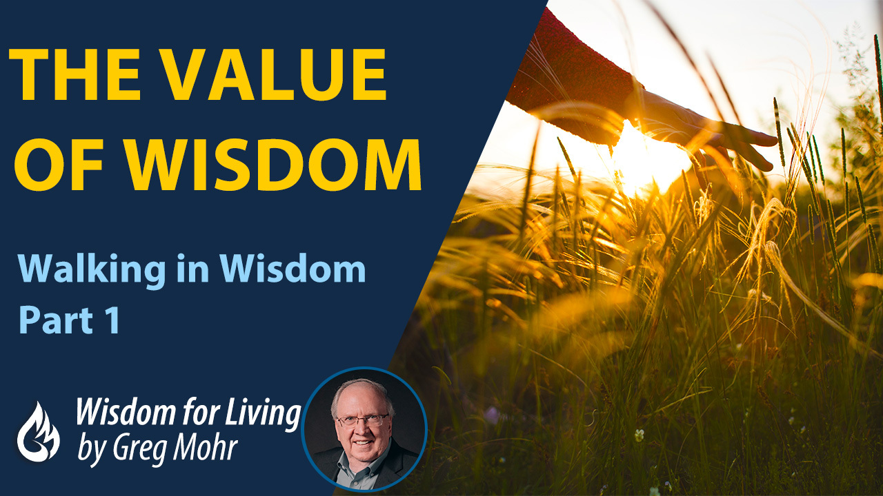 The Value of Wisdom