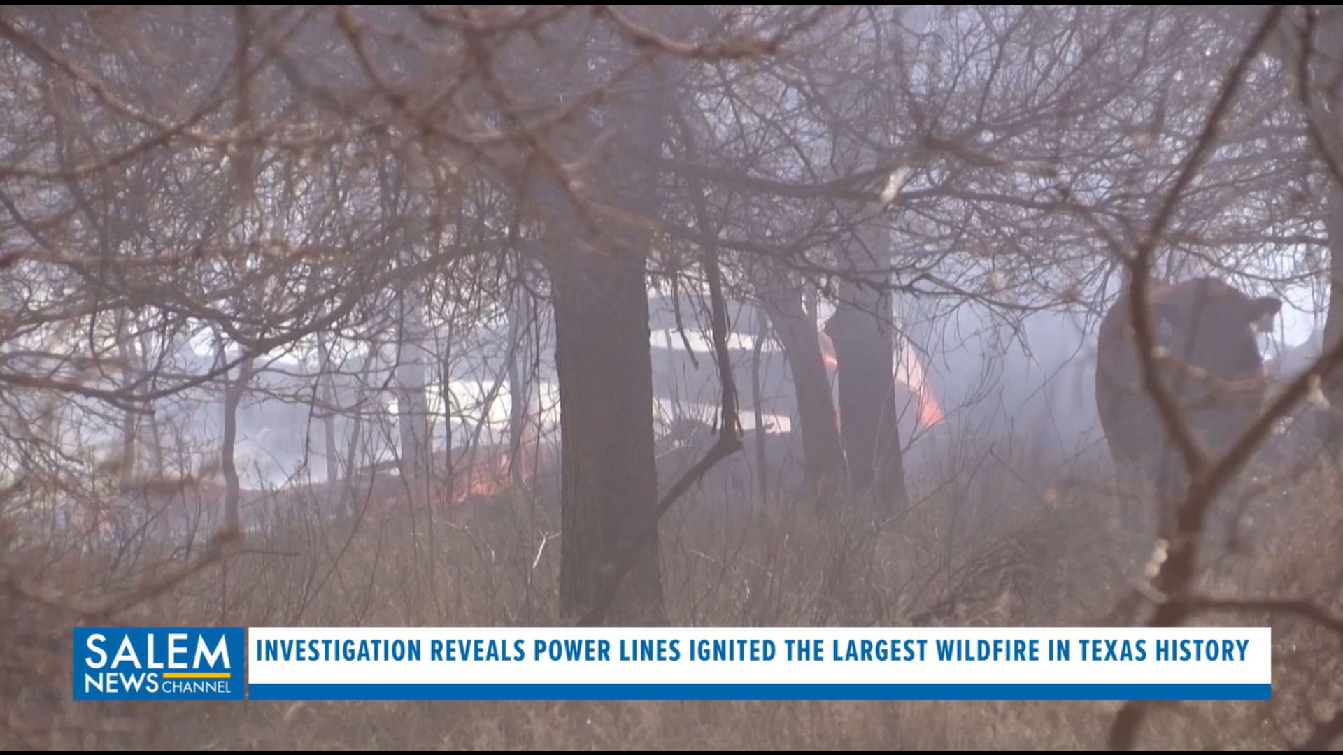 Investigation Reveals Power Lines Ignited Largest Wildfire In Texas History