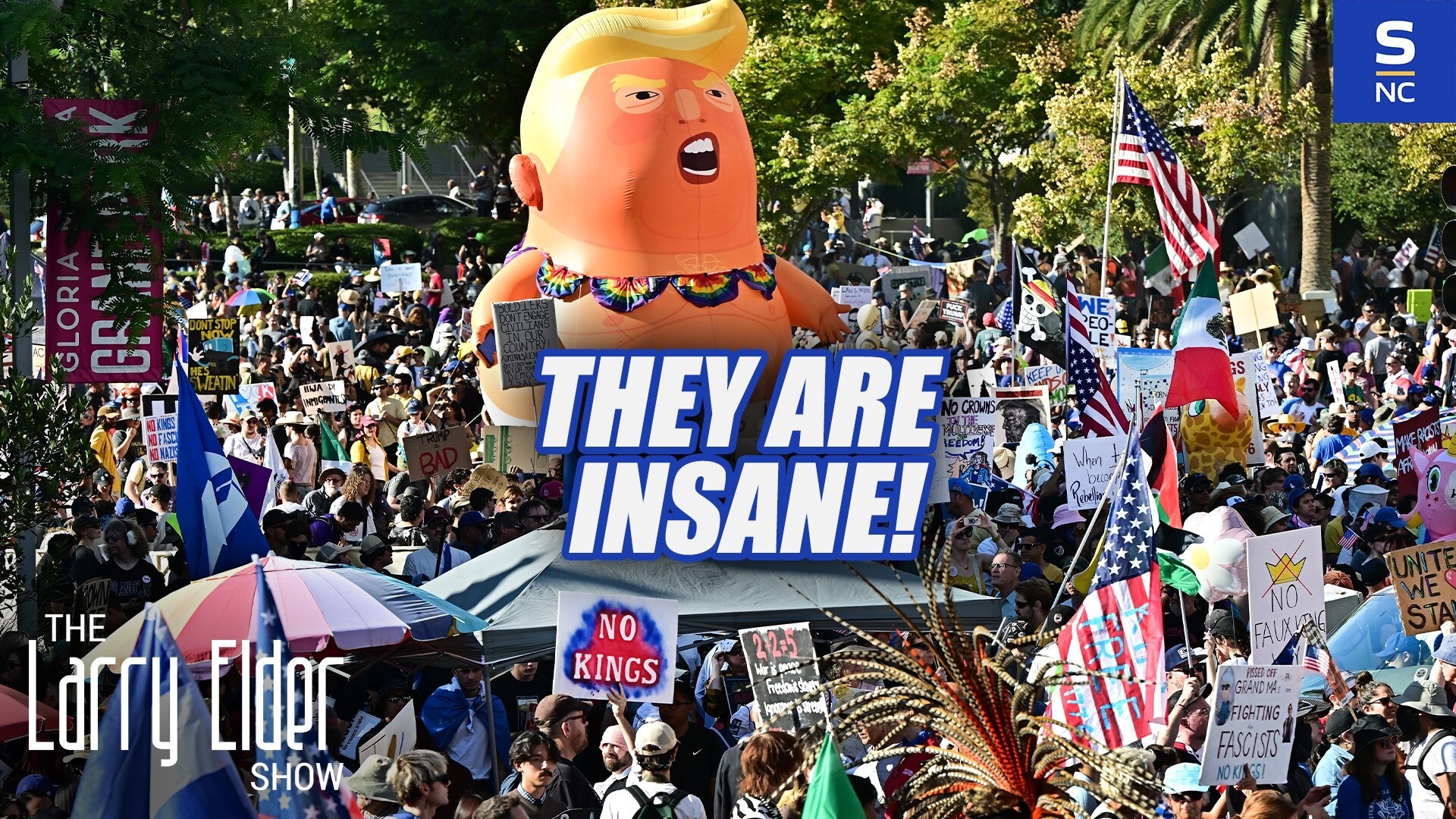 No Kings Protesters are Insane!