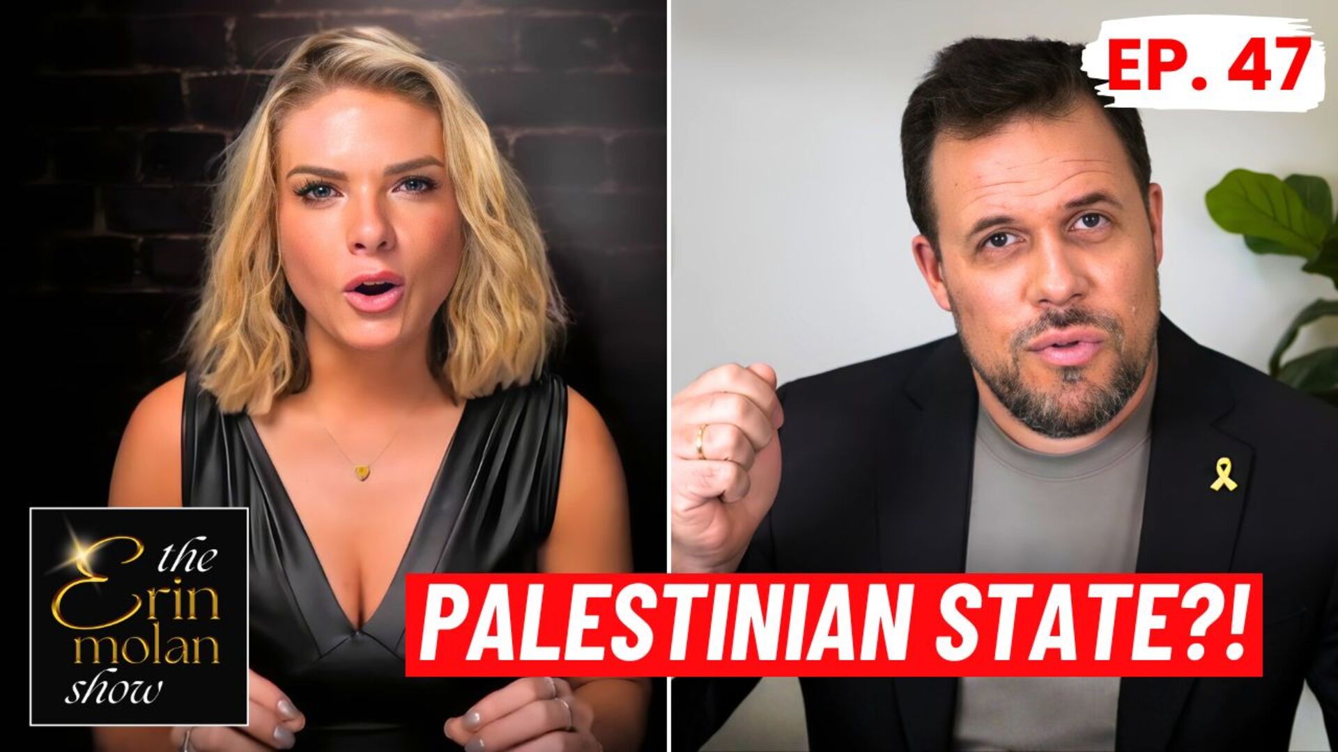 Israel Blindsided By Trump? — The Suddon US Push for Palestinian ...