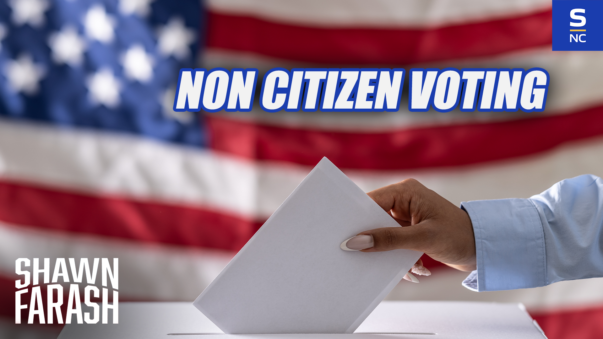 Another Case of Non Citizen Voting
