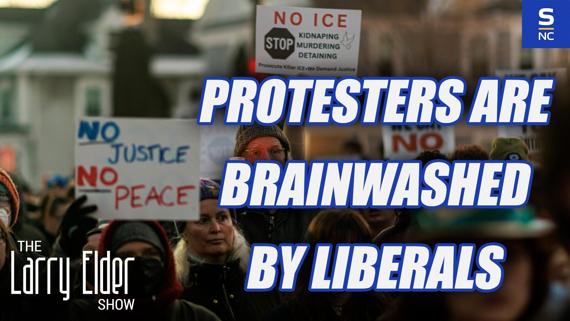 Protesters are Brainwashed by Liberals