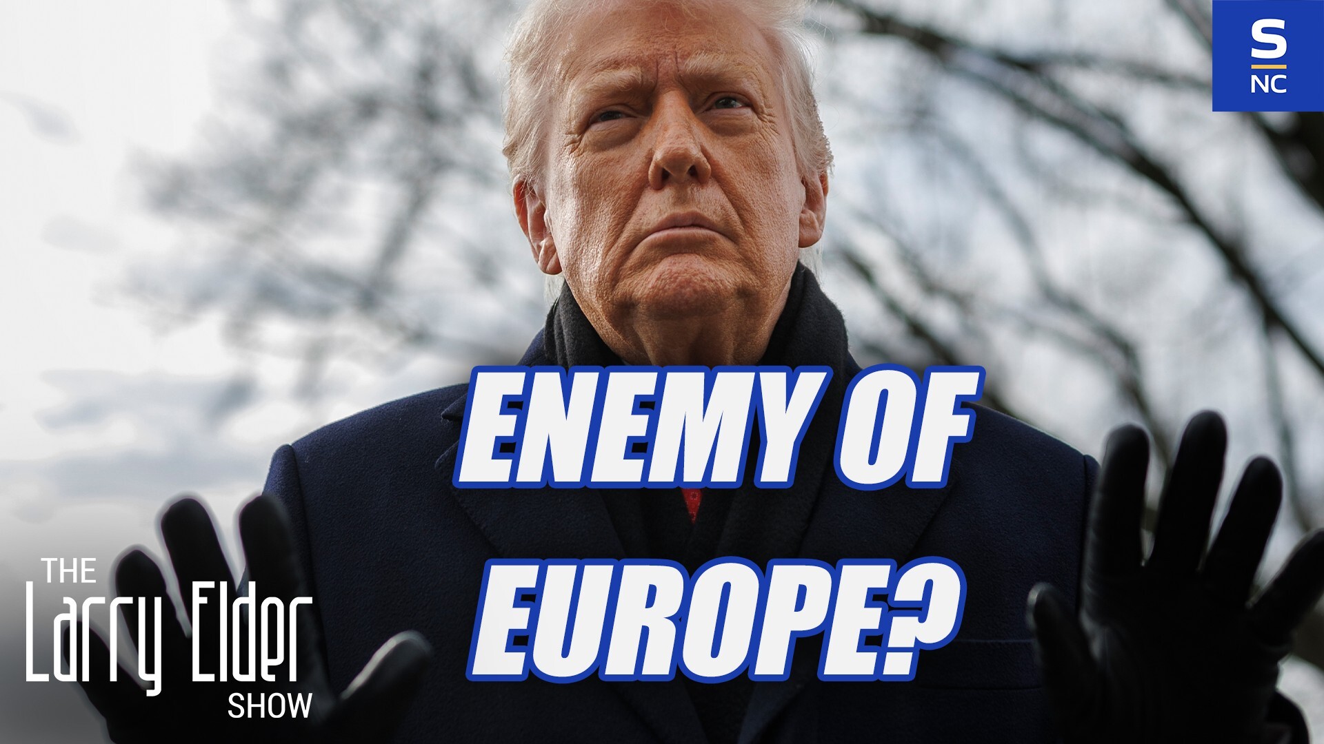 Half of Europeans see Trump as the Enemy