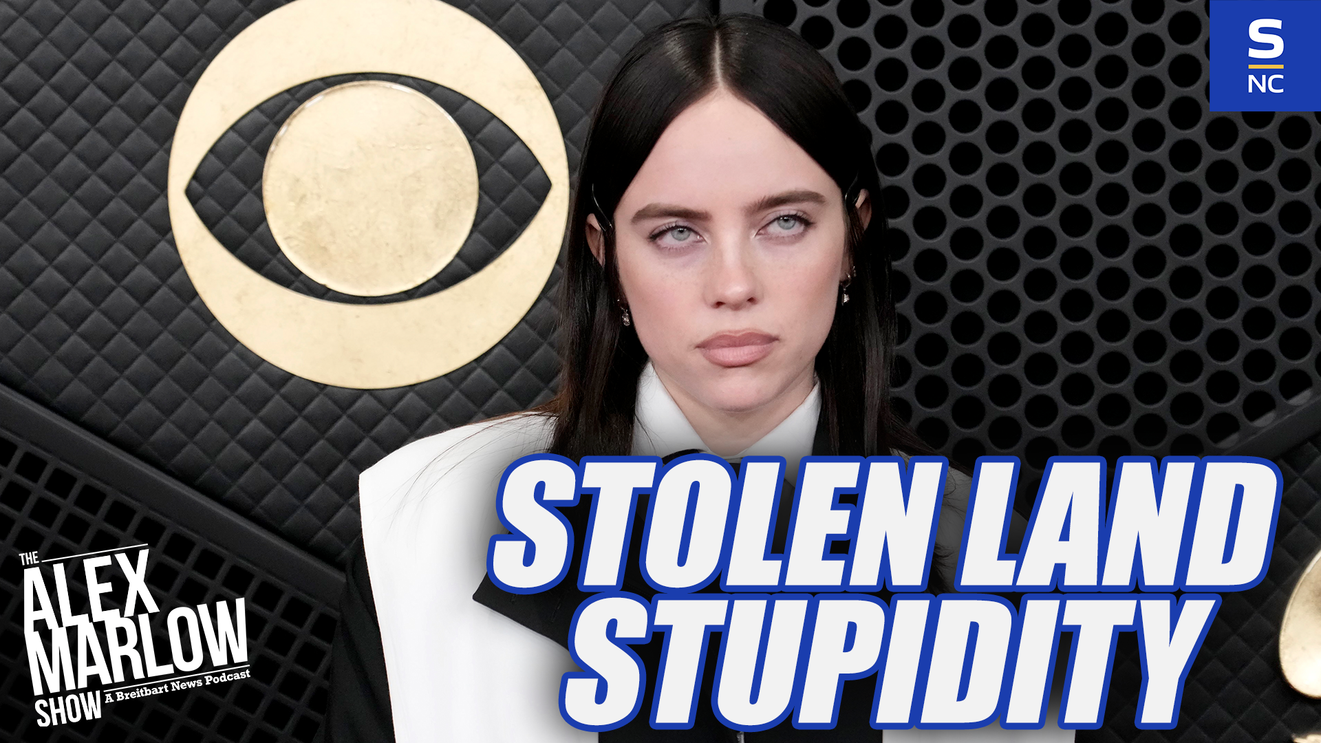 Is Billie Eilish Just Stupid?