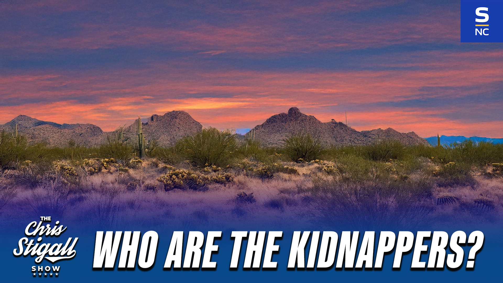 Who are the kidnappers?