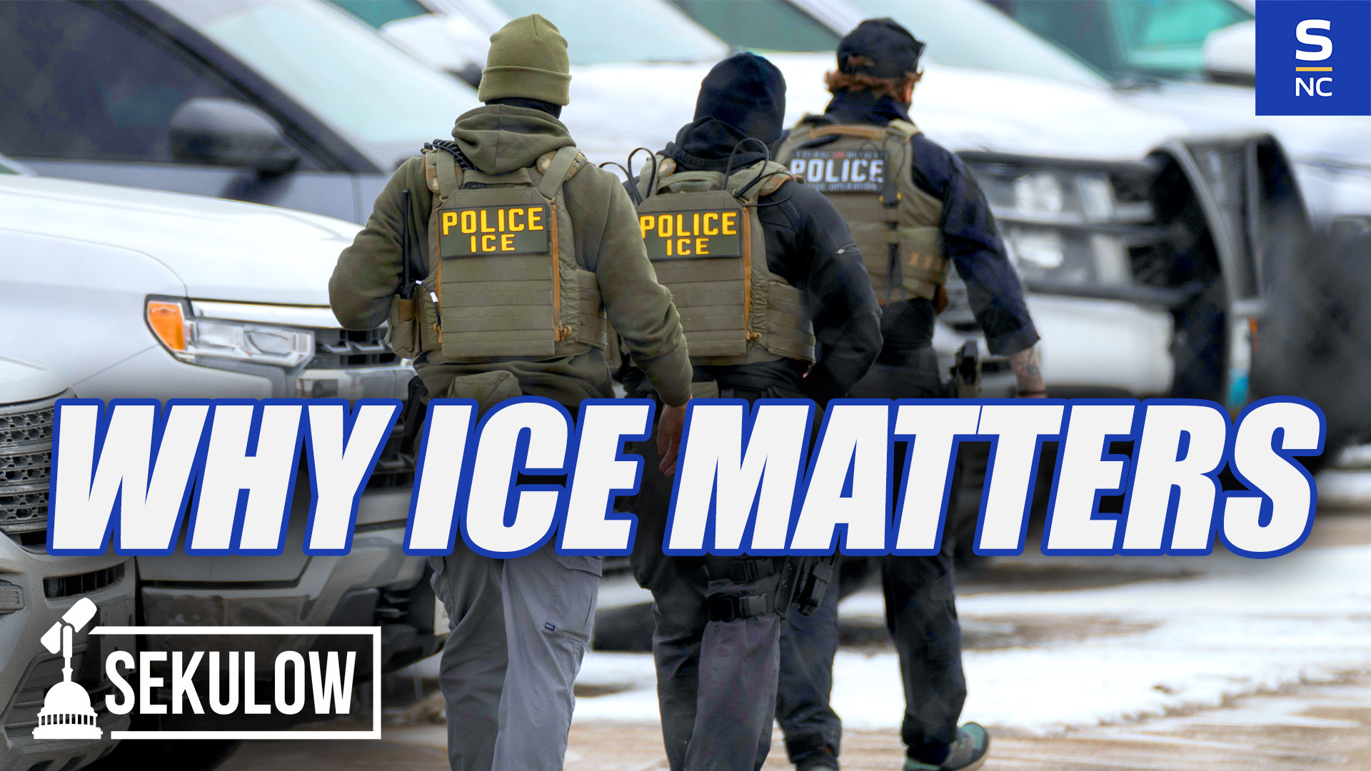 Why Immigration Enforcement Matters