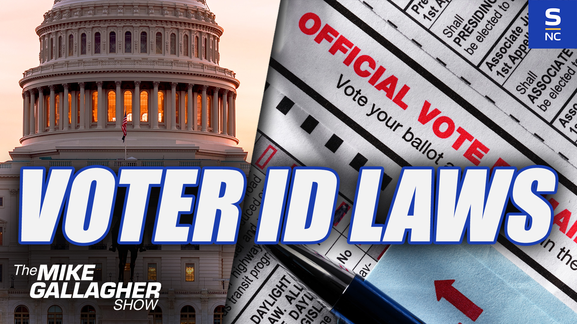 Americans Demand Voter ID Laws