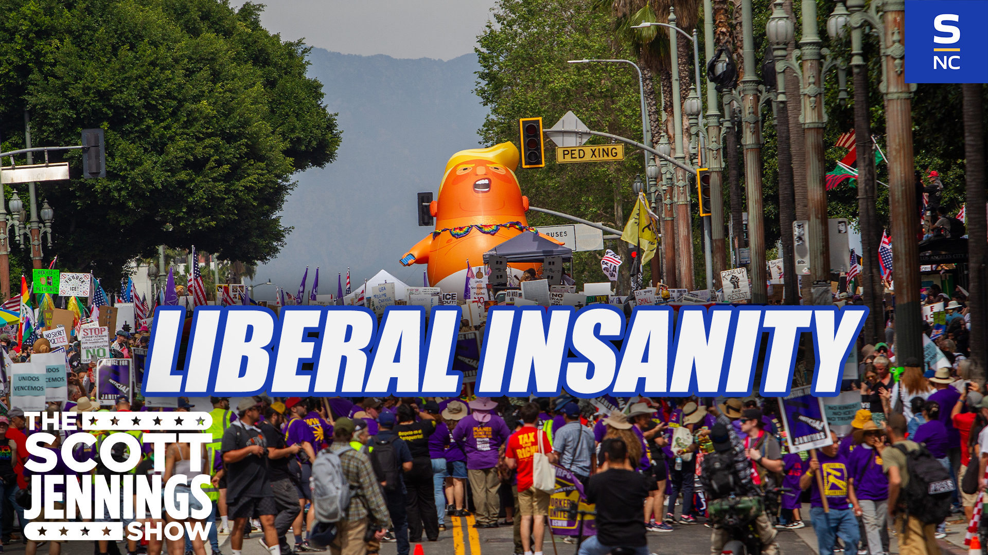 No Kings Rallies Proves Liberal Insanity