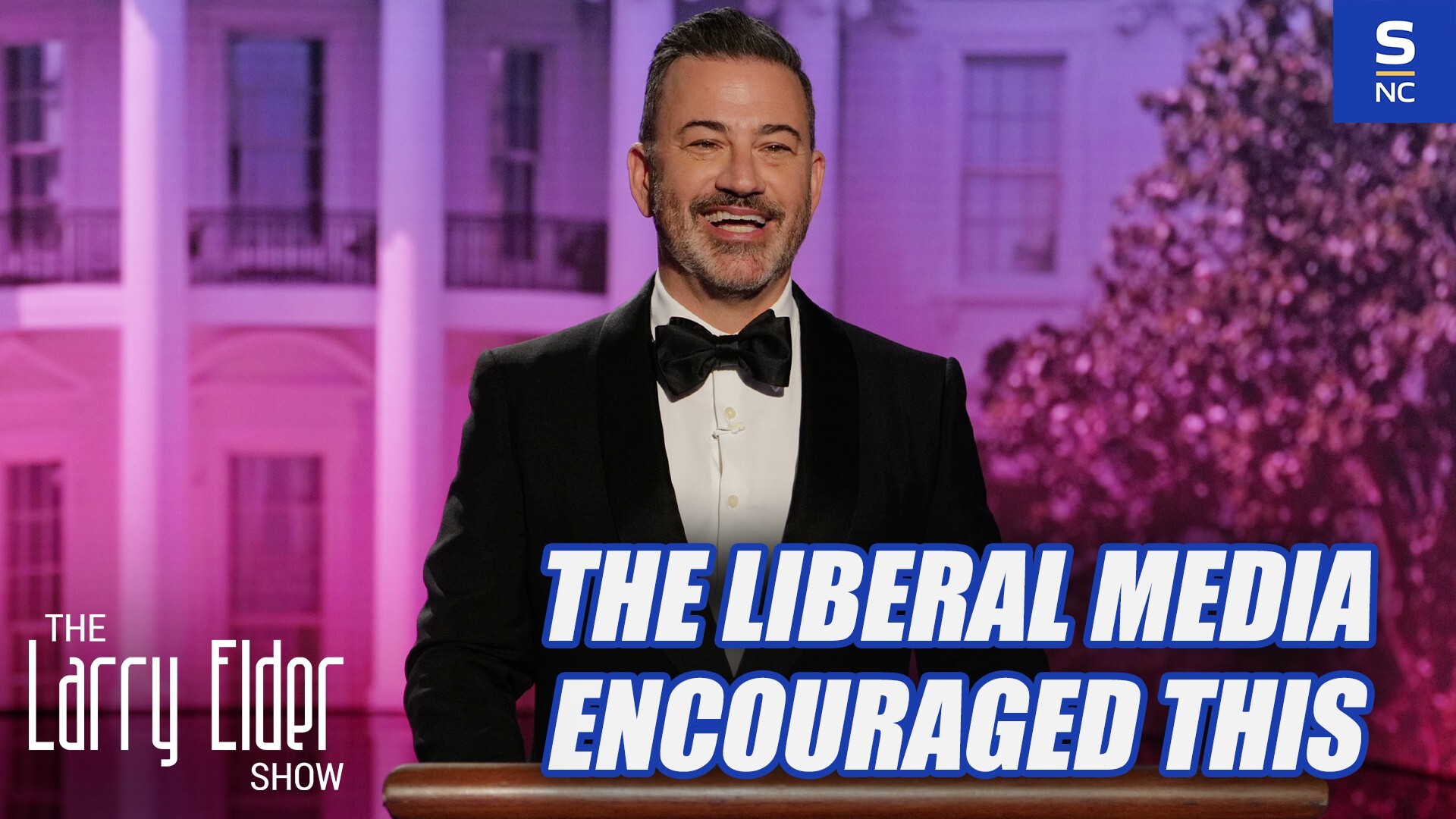 The Leftwing Media Encouraged This