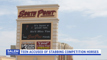 Teen Competitor Accused of Stabbing Three Horses At Las Vegas Barrel Racing Event