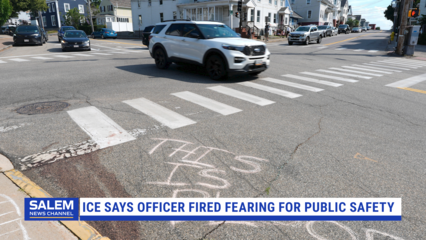 ICE Says Officer Fired While Fearing For Public Safety