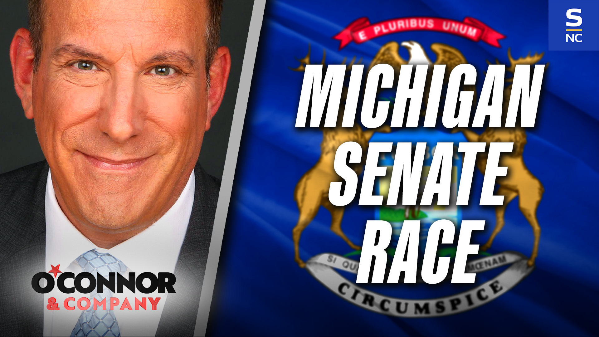 Michigan's Senate Race