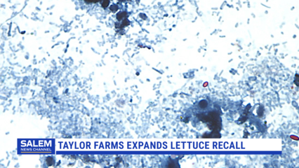 Taylor Farms Expands Lettuce Recall Amid Cyclospora Outbreak