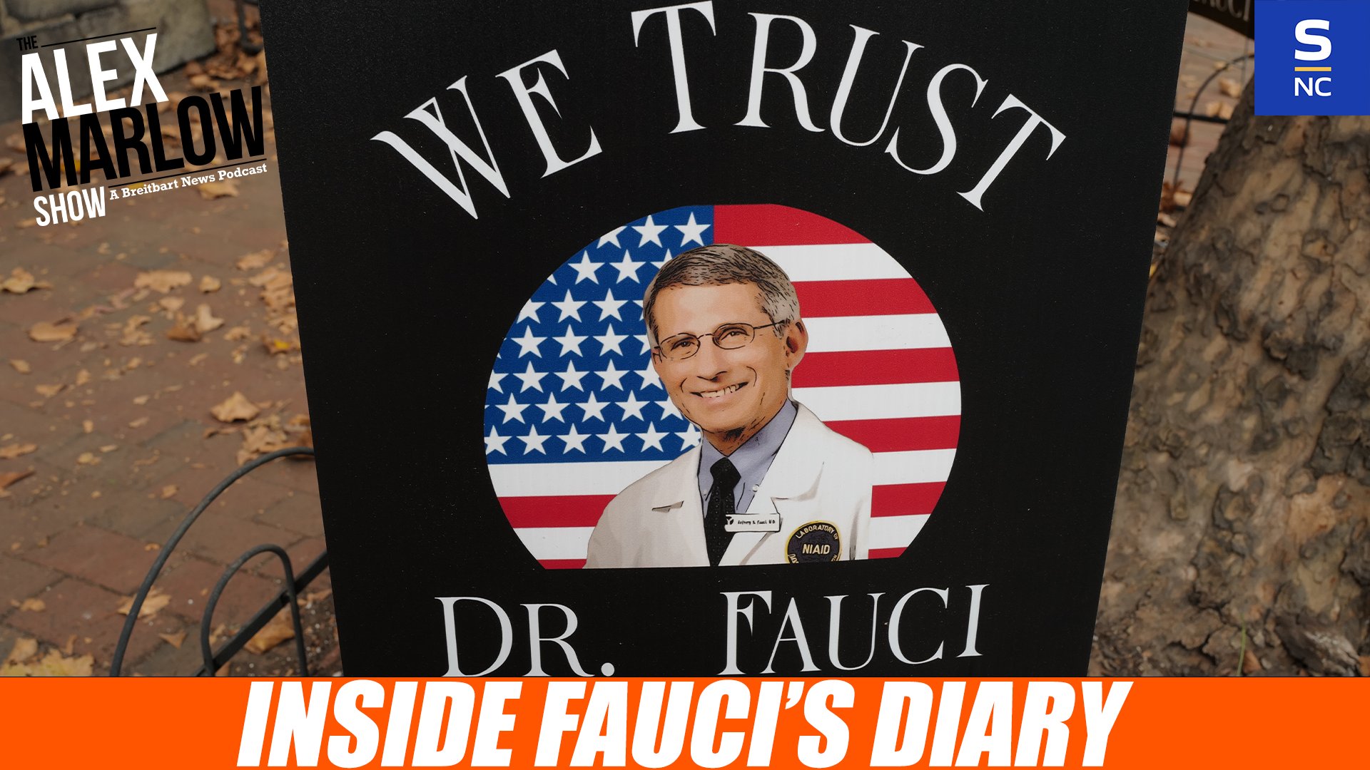 Inside Fauci’s Diary