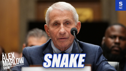 The Snake Dr. Fauci Pleads the 5th