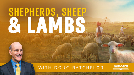 Shepherds, Sheep and Lambs