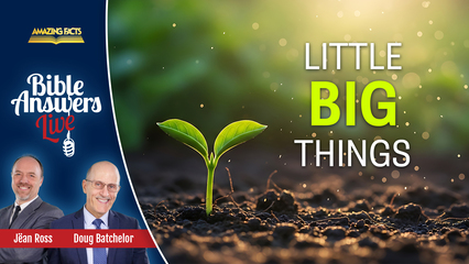 Little Big Things