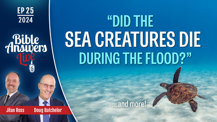 BAL 2024, Ep25 – Did the Sea Creatures Die During the Flood ?