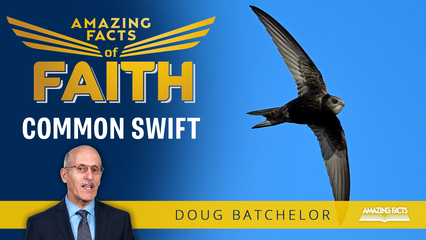 Common Swift