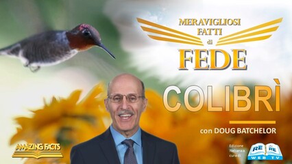 Colibri