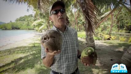 Il Cocco
