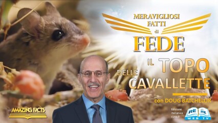Il Topo delle Cavallette