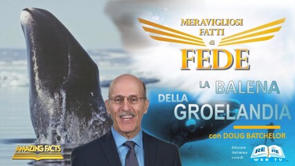 La Balena della Groenlandia