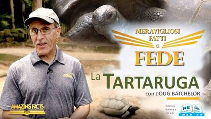 La Tartaruga