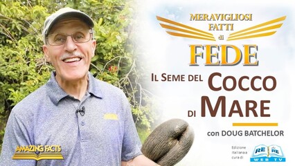 Il Seme del Cocco di Mare