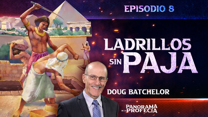 Ladrillos Sin Paja