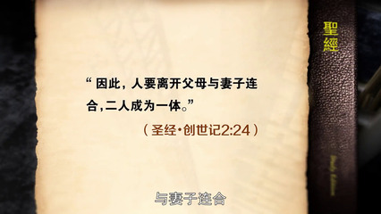 相守终身（下）