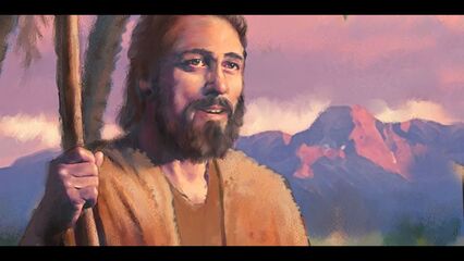 Voice in the Wilderness