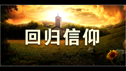 我为何需要教会