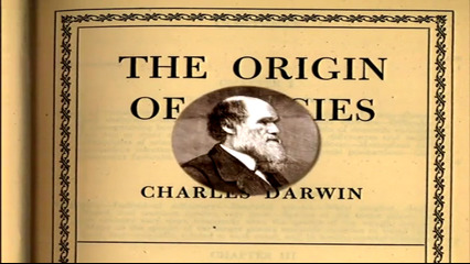 El Séptimo Día Parte 1