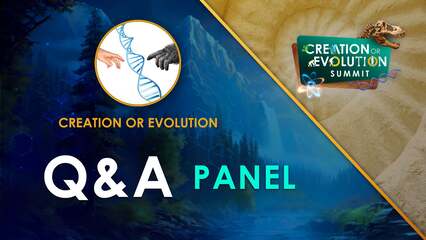 Question and Answers Panel